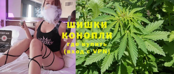 СК Медвежьегорск