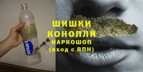 СК Медвежьегорск